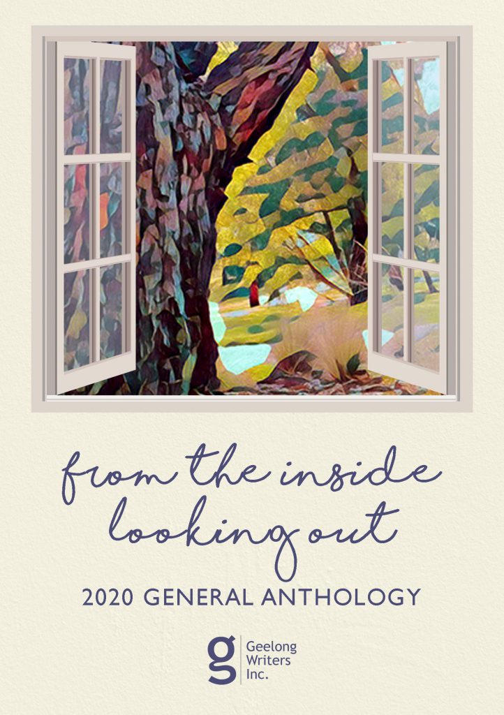 2020 General Anthology Front Cover. Title 'From the inside looking out.'