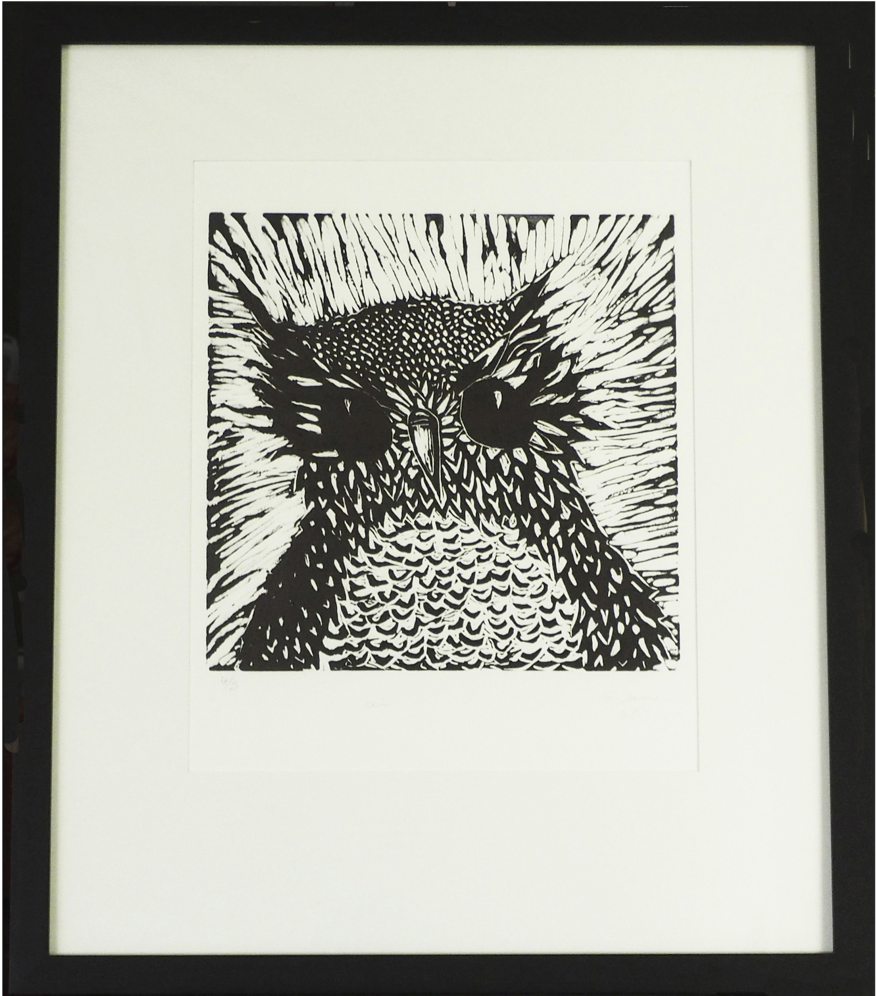 Owl / Shadow in the Trees / Will We Choose Wisely?