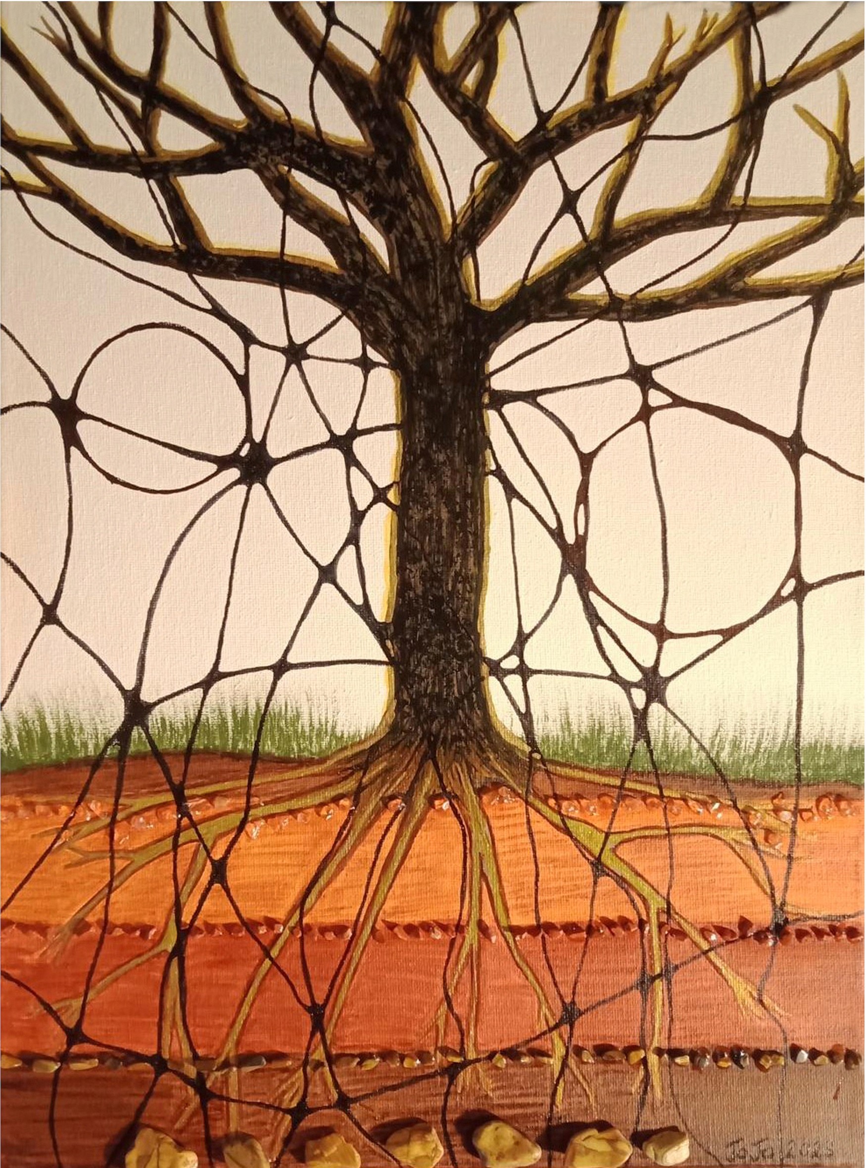 Colours of the Earth / World Roots