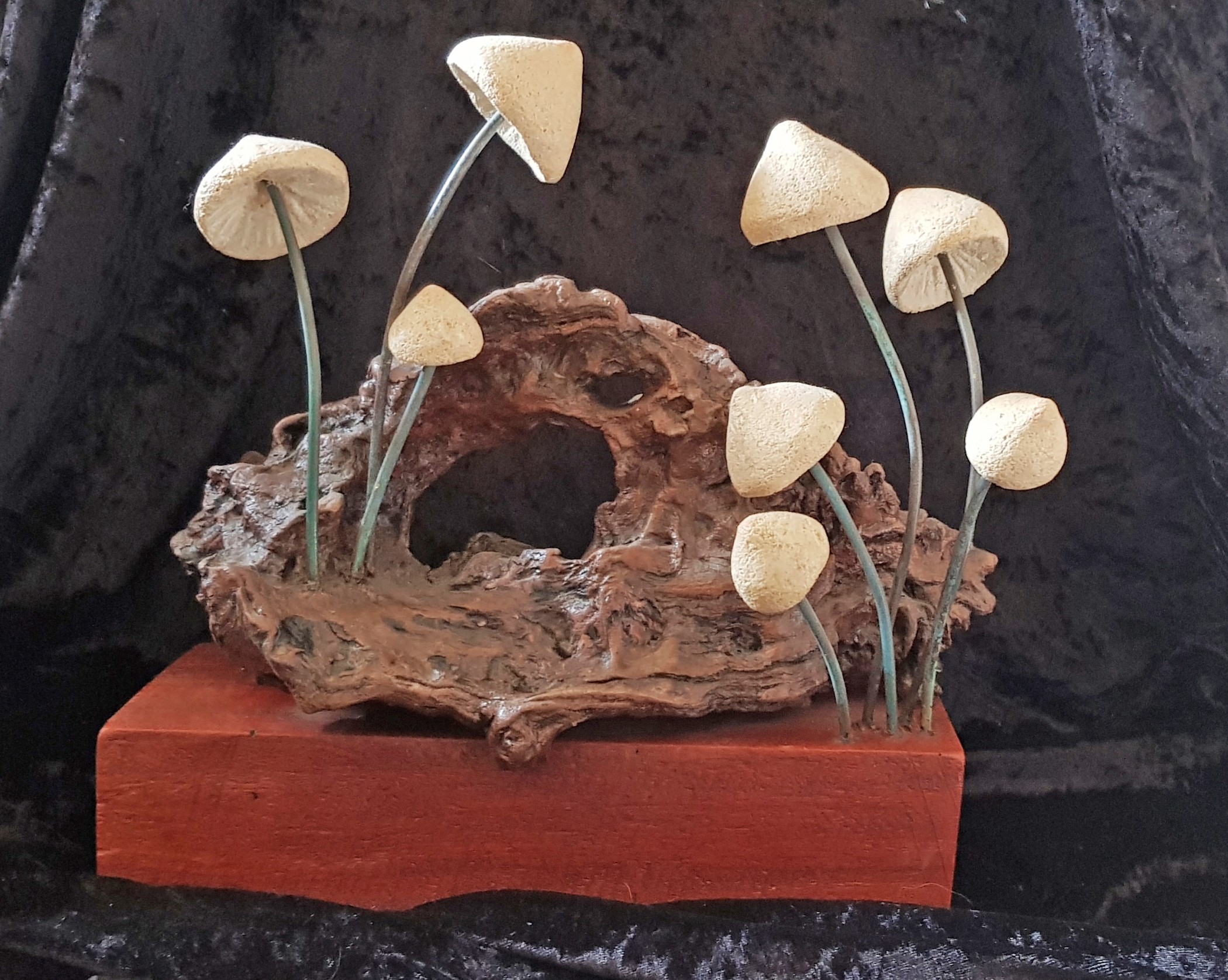 Deep in the Forest / Life in the Forest